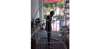 防盗网（wǎng）F-1018